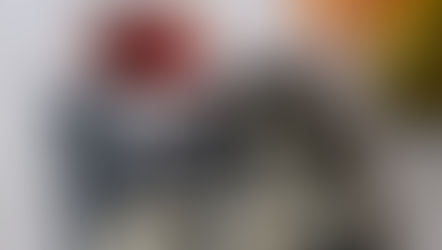 Hundben med blodig dipp 