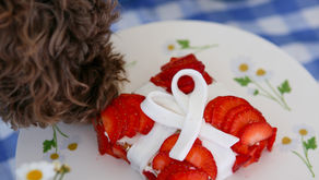 Hundvänlig midsommartårta