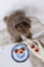 Hundvänliga sylthjärtan, kakor till hund