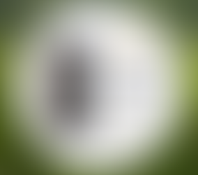 drzwi zewnętrzne - trendy 2026