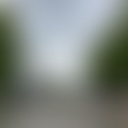 Das HALLENKUNST Mural Art Programm ist gestartet