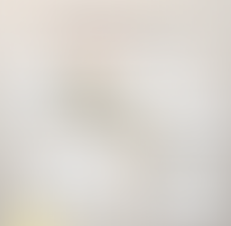 Exame de imagem, é realmente tão importante assim?