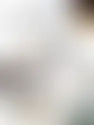 PAKKEKALENDER 21/24 – VIND EKSKLUSIV SKINDJAKKE FRA MUNDERINGSKOMPAGNIET