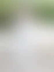 NYT OUTFIT OG DISKUSPROLAPS PÃ… ANDEN FERIEDAG