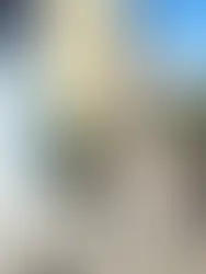 SNEAKS, LÆDER OG EN HELT MASSE FARVER