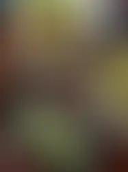 EFTER HALVANDET Ã…R I HO CHI MINH CITY: HER ER MINE TRE VIETNAMESISKE FAVORIT RESTAURANTER