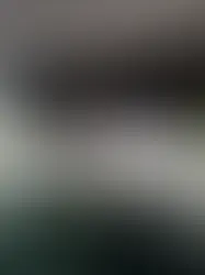 VIDEO: PARADISSTRANDE, VILDE DELFINER OG ROOM TOUR MAURITIUS