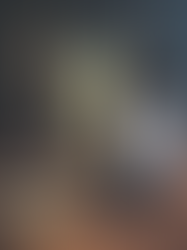 GIVAWAY // VIND EN FLASKE EKSKLUSIV MONKEY 47 GIN