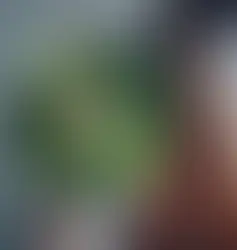 SÃ…DAN GIK MINE FIRE DAGE SOM VEGETAR