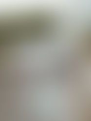 VORES ITALIENSKE BRYLLYPSMIDDAG