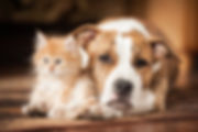 AdobeStock_84016419.jpeg