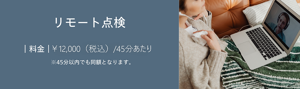 リモート点検12000円 (5).png