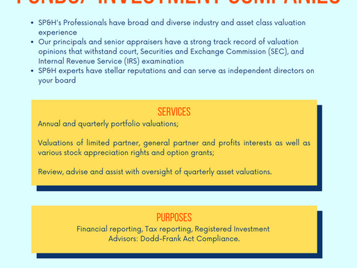 Private Equity Firms / Hedge Funds / Investment Companies / Valuations-Financial Advisory Services