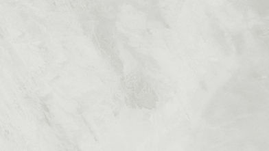 White Background_edited.jpg