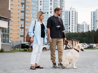 Animais que vivem em condomínios terão proteção garantida em lei