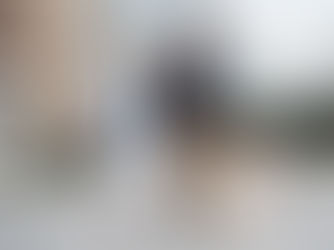 Animais que vivem em condomínios terão proteção garantida em lei