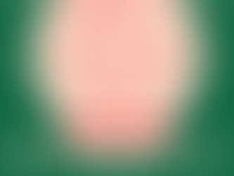 Winter Orchestra Concert - December 12th!