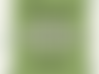 Spring Orchestra Concert - May 13th!