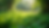 Eye-level view of a lush green garden with diverse plants