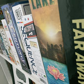 On Bias and Pay in Board Game Media