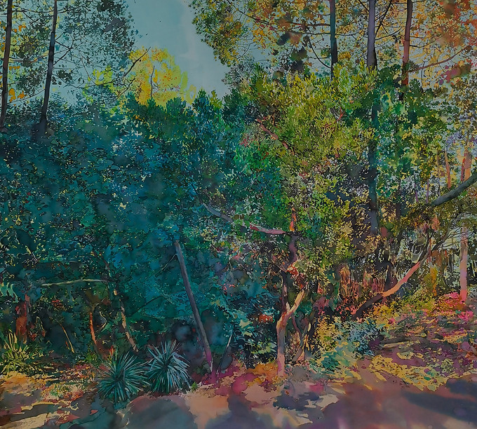 wildgarden copie.jpg