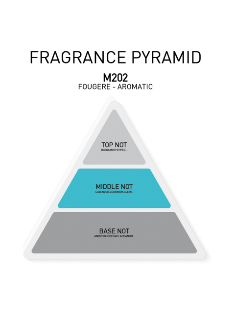 BEA'S 100ML MÄNNER EAU DE PARFUM M202