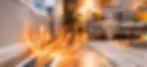 photo 8.webp