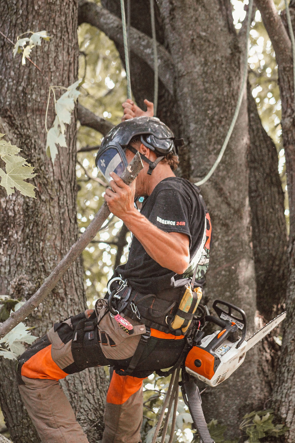 Membre de l'équipe abattage