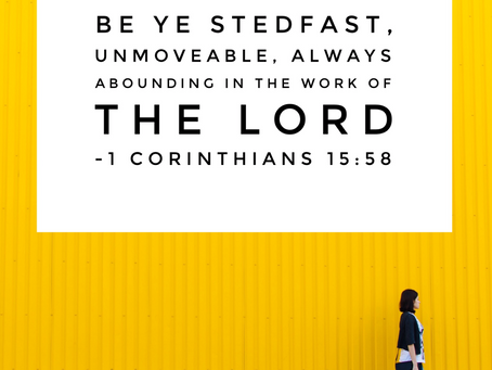 Stedfast