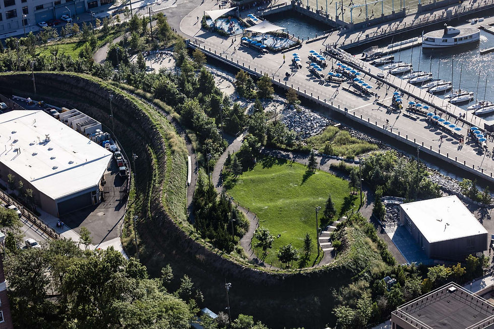 O poder do verde no urbanismo
