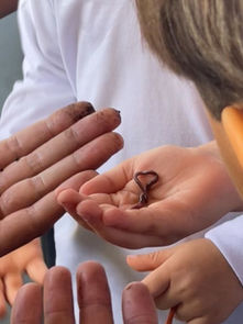 Urbitá realiza Semana do Meio Ambiente para o C. E. Santa Rita de Cássia com oficinas e teatro.