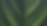 folhasbg.png