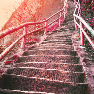 Becoming More Me: A coach's journey