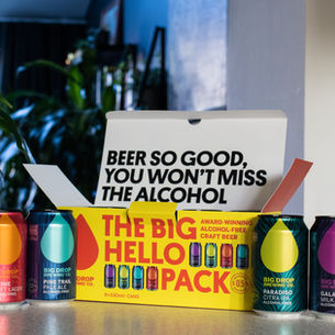 Big Drop Pumps Licence Model