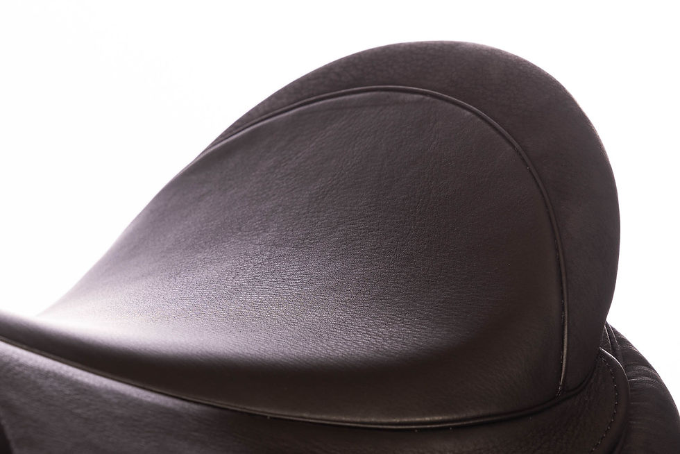 Miniatyrbild: Eques Expert