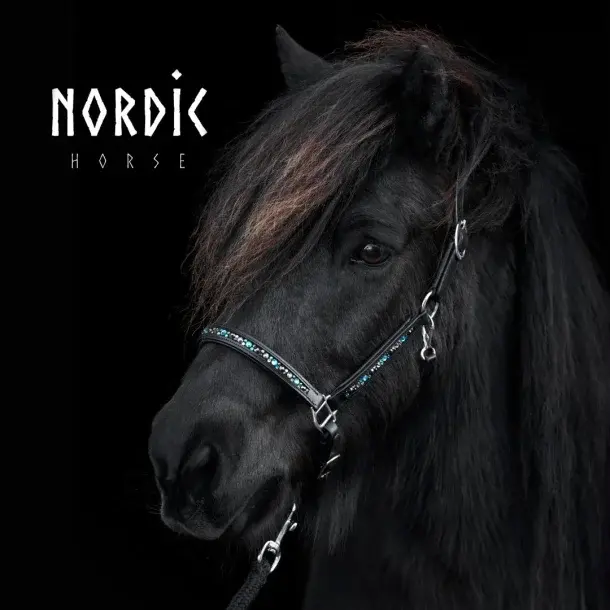 Miniatyrbild: Lädergrimma NordicHorse