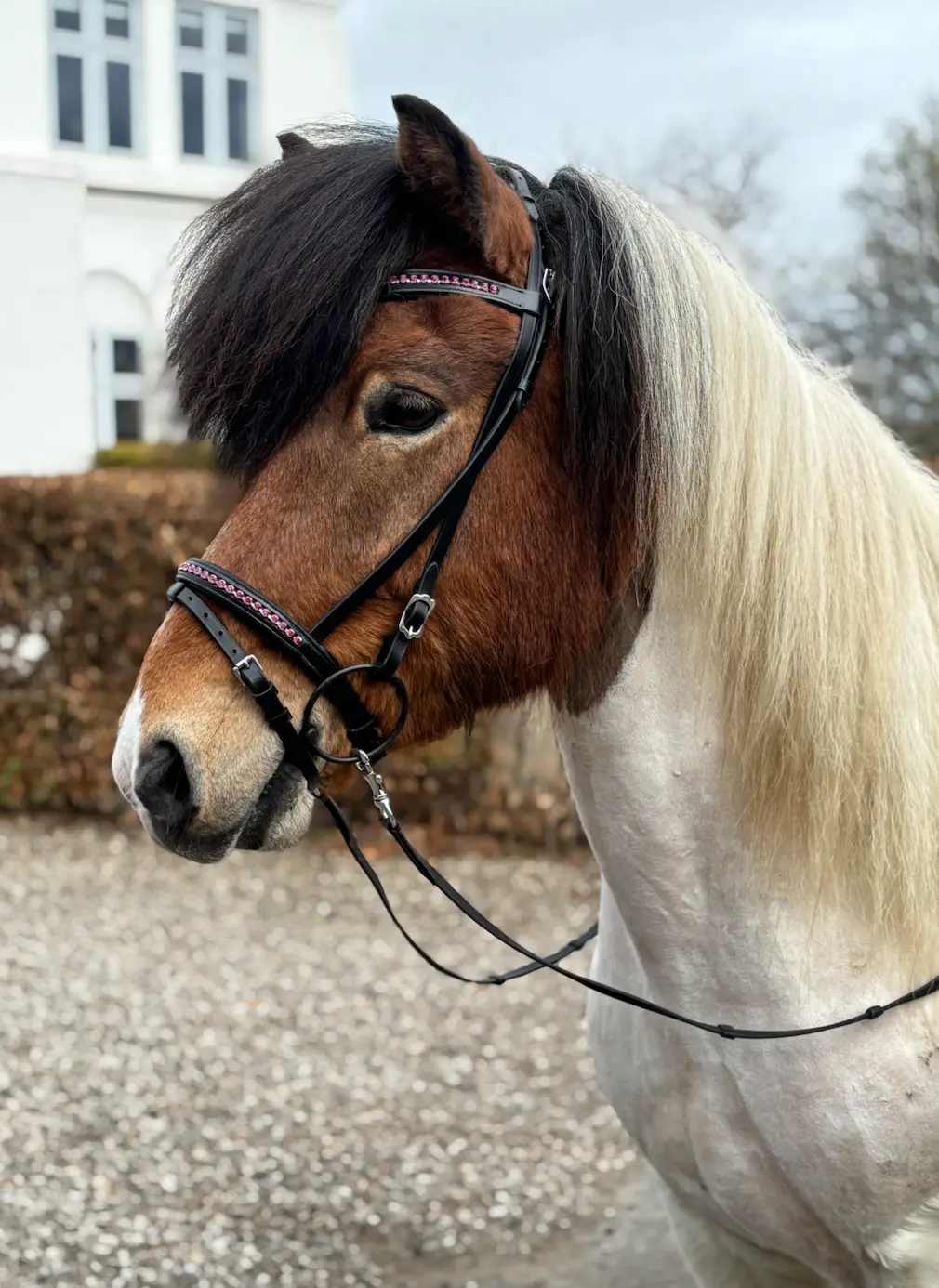 Glitra Huvudlag - Rosa