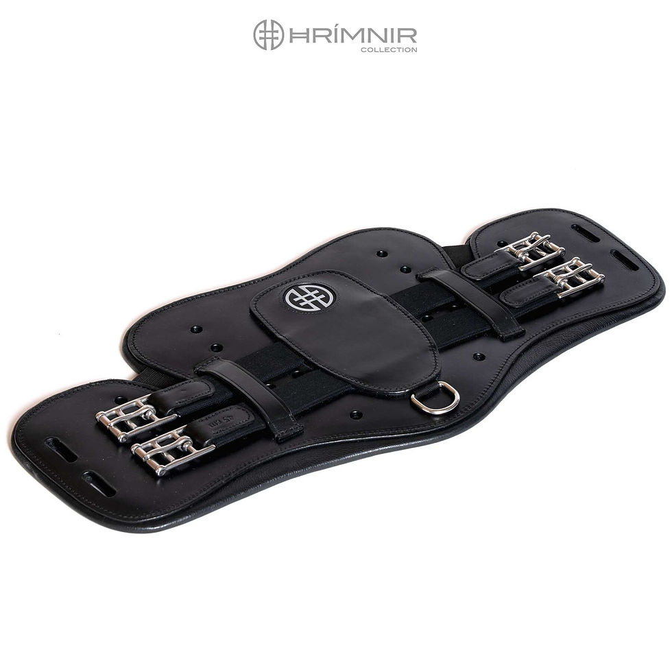 Miniatyrbild: Hrímnir Wing Sadelgjord