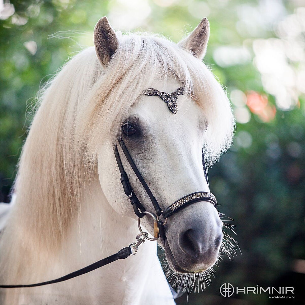 Miniatyrbild: Hrimnir Huvudlad Heritage D - Fire & Ice