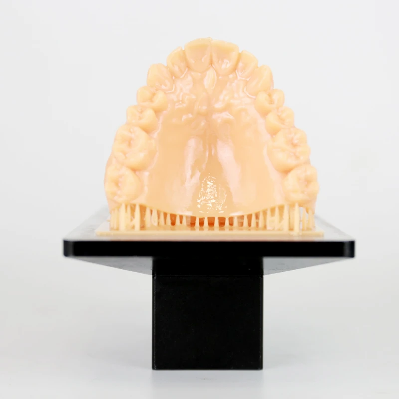 Dental Model Resin