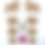 Miniature : Pichwai Painting MDF Cow and Lotus Cutouts Art and Craft kit