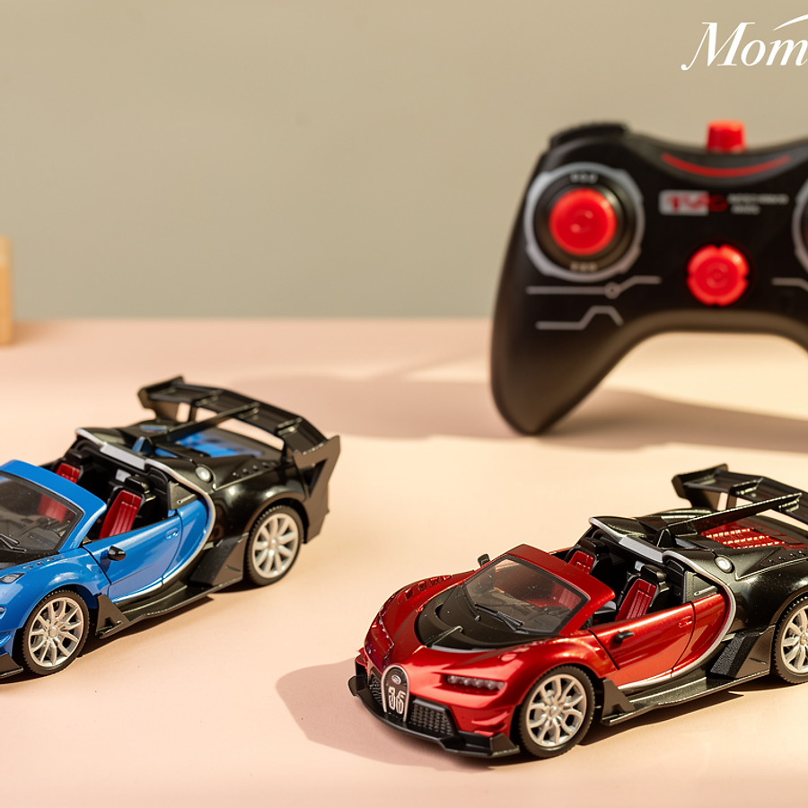 Speed Pro RC Racing Car