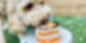 Goldie - meaty dog birthday cake_edited.jpg
