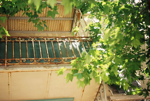 photo argentique ektar sous-la-vigne.jpg