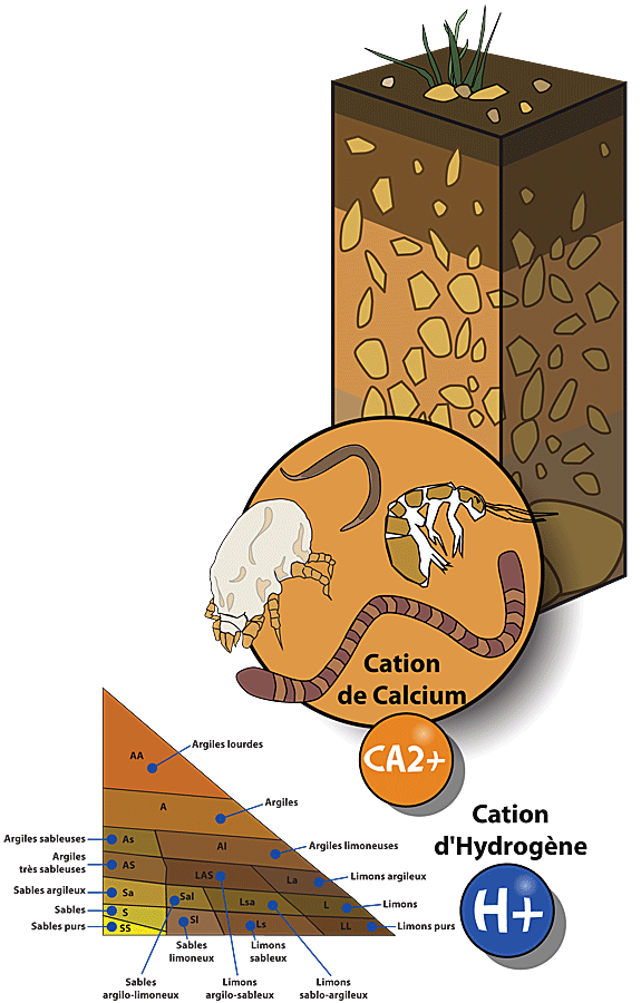 illustration_prepa.gif