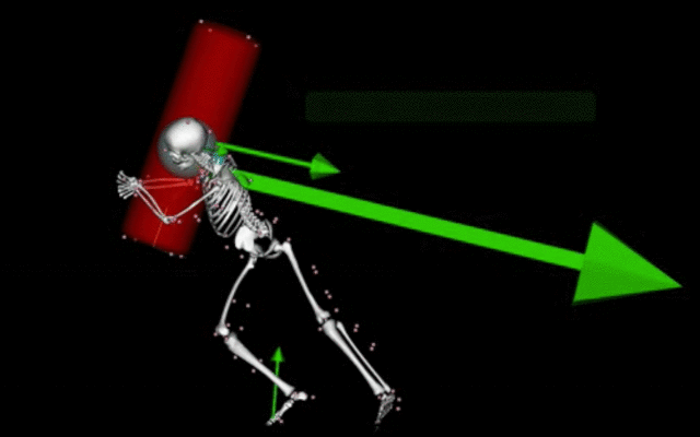 Biomechanical model of a rugby tackler showing forces in free narrows applied on their shoulder
