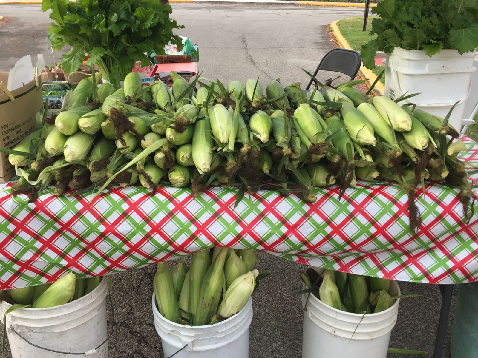 Oberlin Farmer's Market