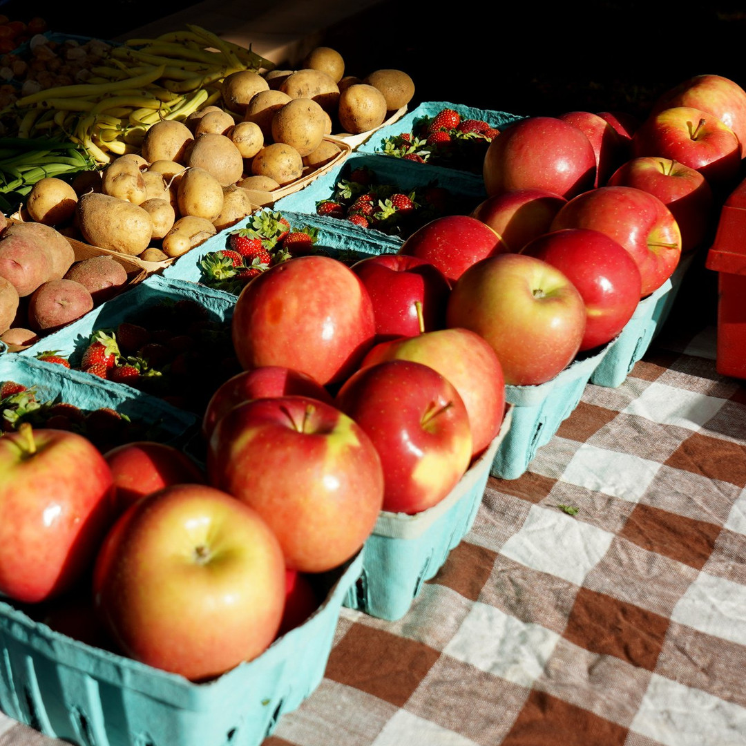 Oberlin Farmers Market Oberlin, Ohio