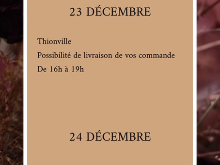 Dimanche, 11h du matin. Bonjour