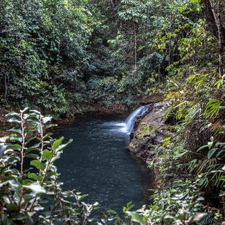 Chácara à venda com natureza exuberante